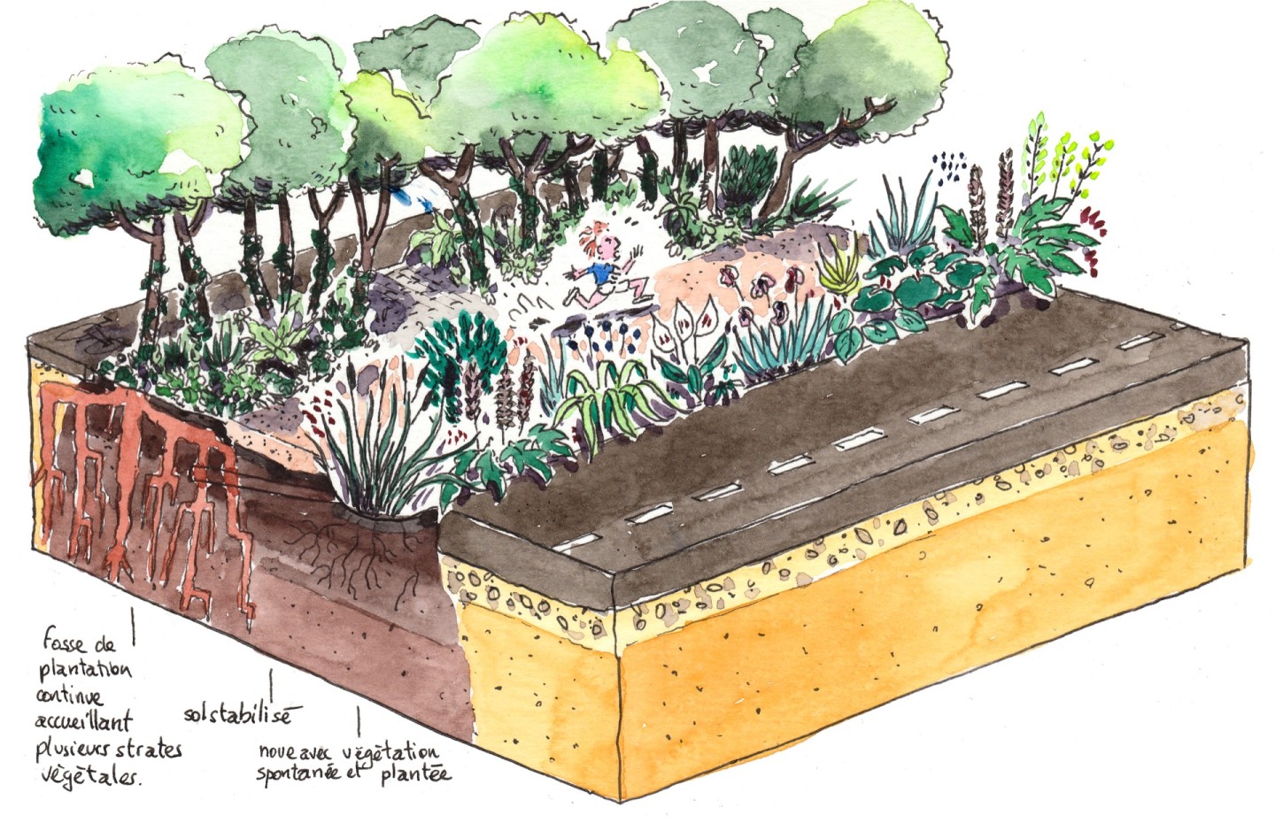 Jean-Alfredo.com - A l’eau les idées reçues - Commande d’illustration des dispositifs pour désimperméabiliser l’espace public