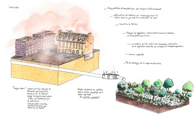 A l’eau les idées reçues Commande d’illustration des dispositifs pour désimperméabiliser l’espace public