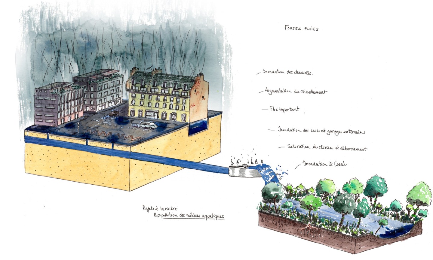 Jean-Alfredo.com - A l’eau les idées reçues - Commande d’illustration des dispositifs pour désimperméabiliser l’espace public