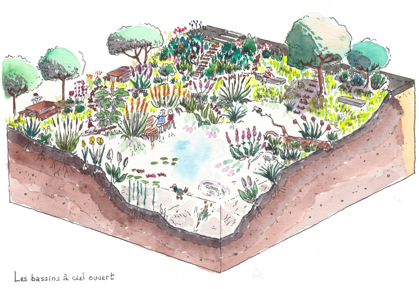 Jean-Alfredo.com - A l’eau les idées reçues - Commande d’illustration des dispositifs pour désimperméabiliser l’espace public