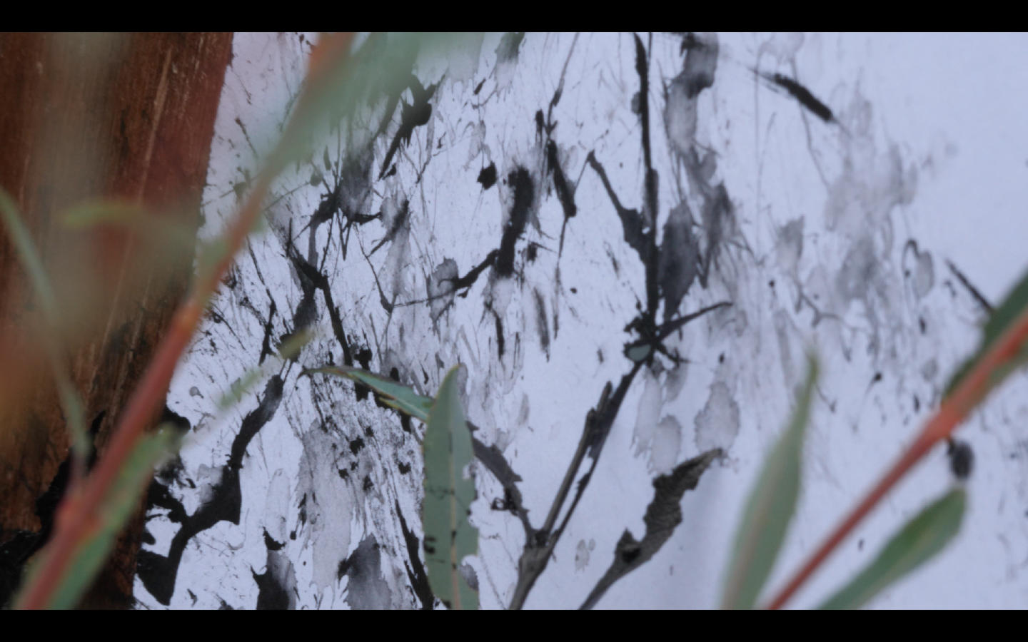 Jean-Alfredo.com - A la rencontre de l’Être Loire - 