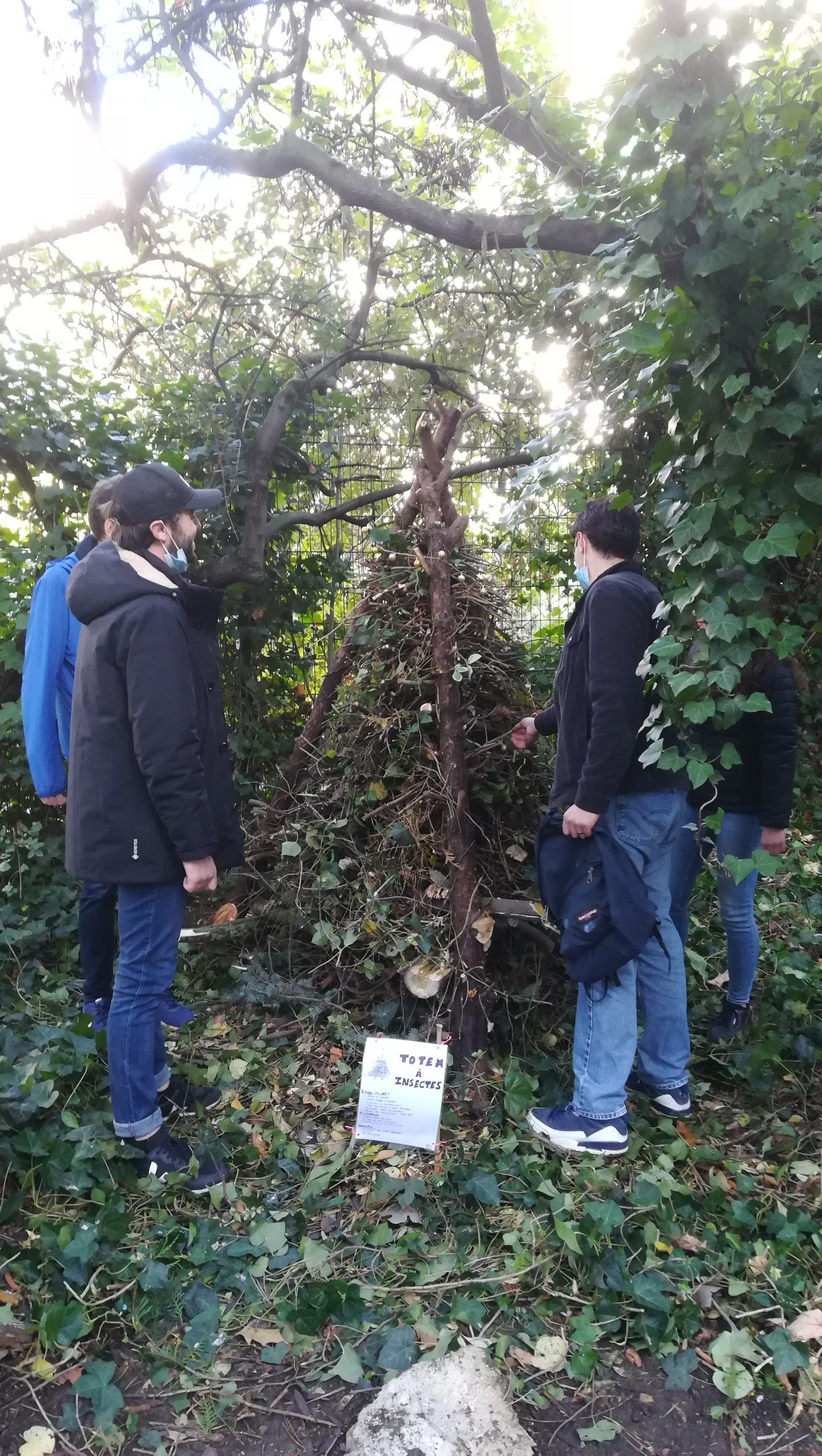 Jean-Alfredo.com - Animation d'atelier jardin - Module d’initiation au jardin pour les 3ème année de licence de l’Institut de Formation aux métiers du Social de Montrouge. (IRTS)