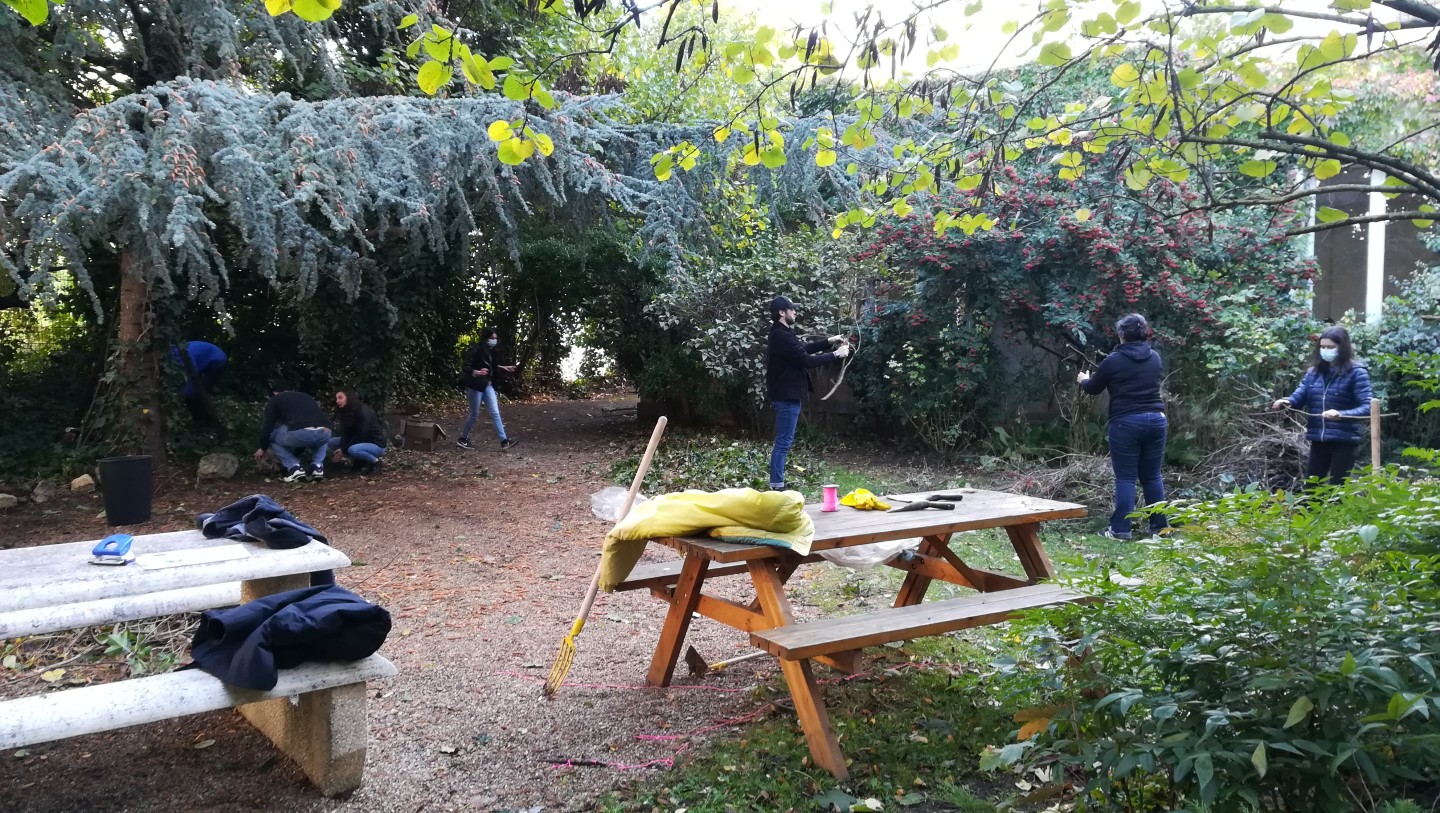 Jean-Alfredo.com - Animation d'atelier jardin - Module d’initiation au jardin pour les 3ème année de licence de l’Institut de Formation aux métiers du Social de Montrouge. (IRTS)