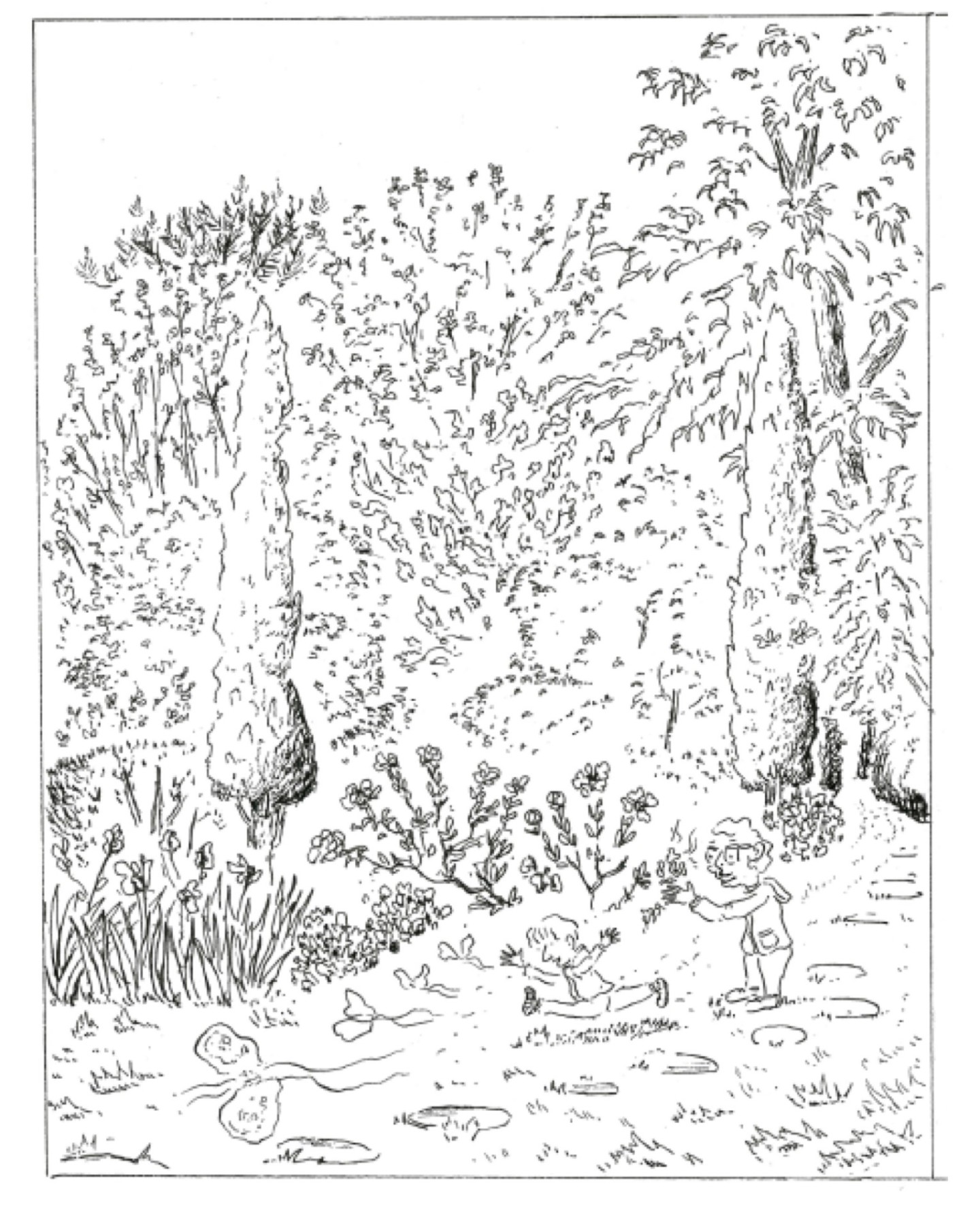 Jean-Alfredo.com - Gardiens fiables - Résidence artistique itinérante organisée par les Petites citées de Caractère Bretonnes