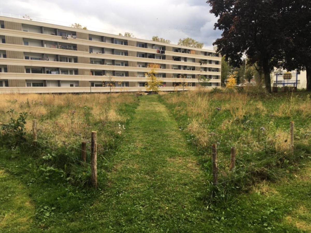 Jean-Alfredo.com - Jardin à partager - Jardinage collectif dans le grand ensemble de Chambéry le Haut