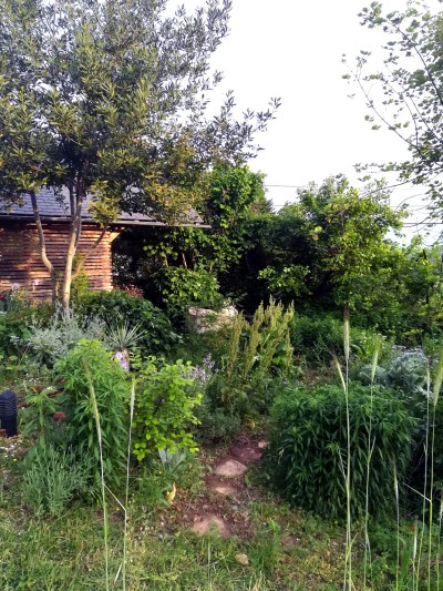 Jardin de graine Mon jardin d’expérimentation sur les contreforts des Bauges
