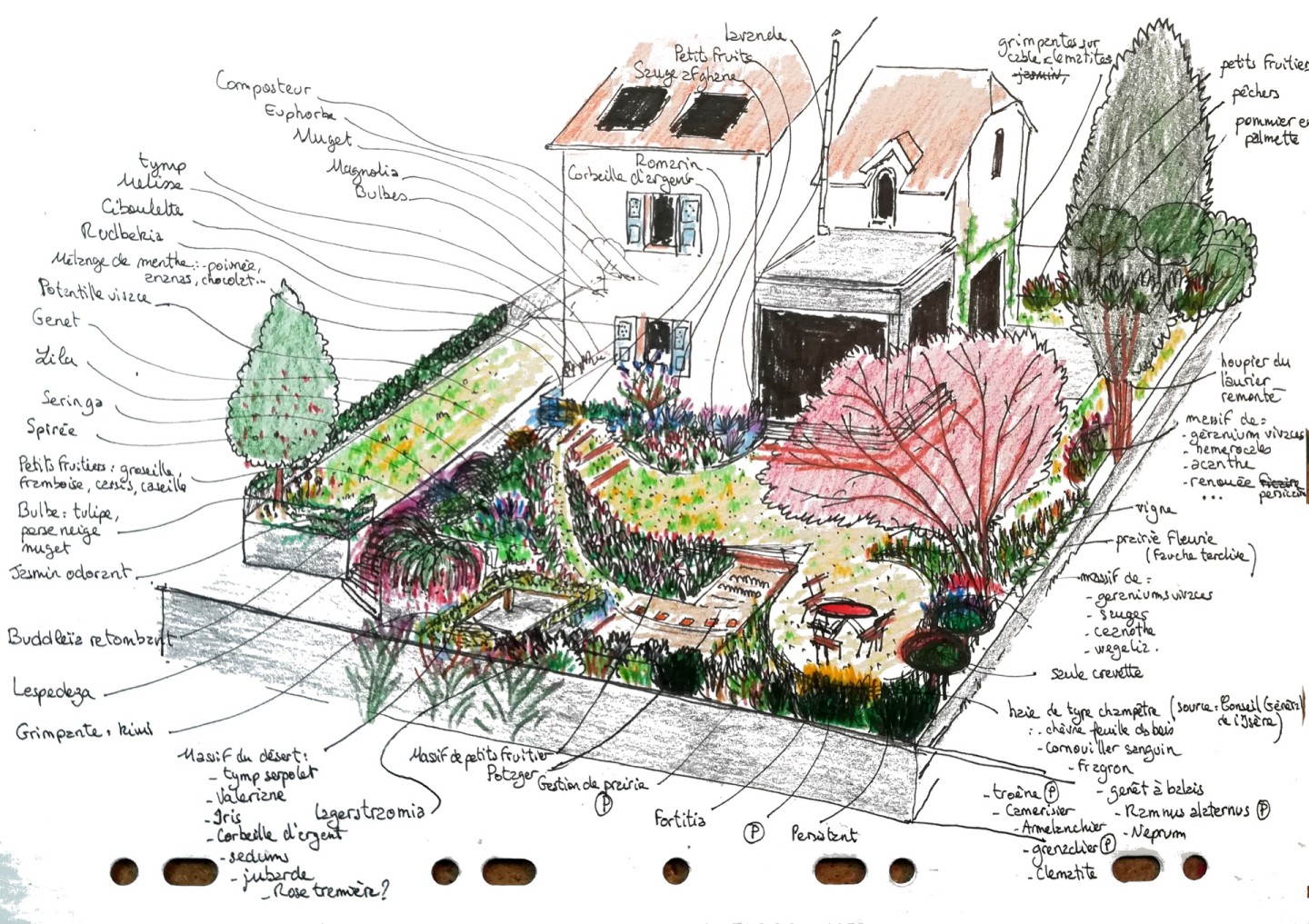 Jean-Alfredo.com - Jardin de particulier - 