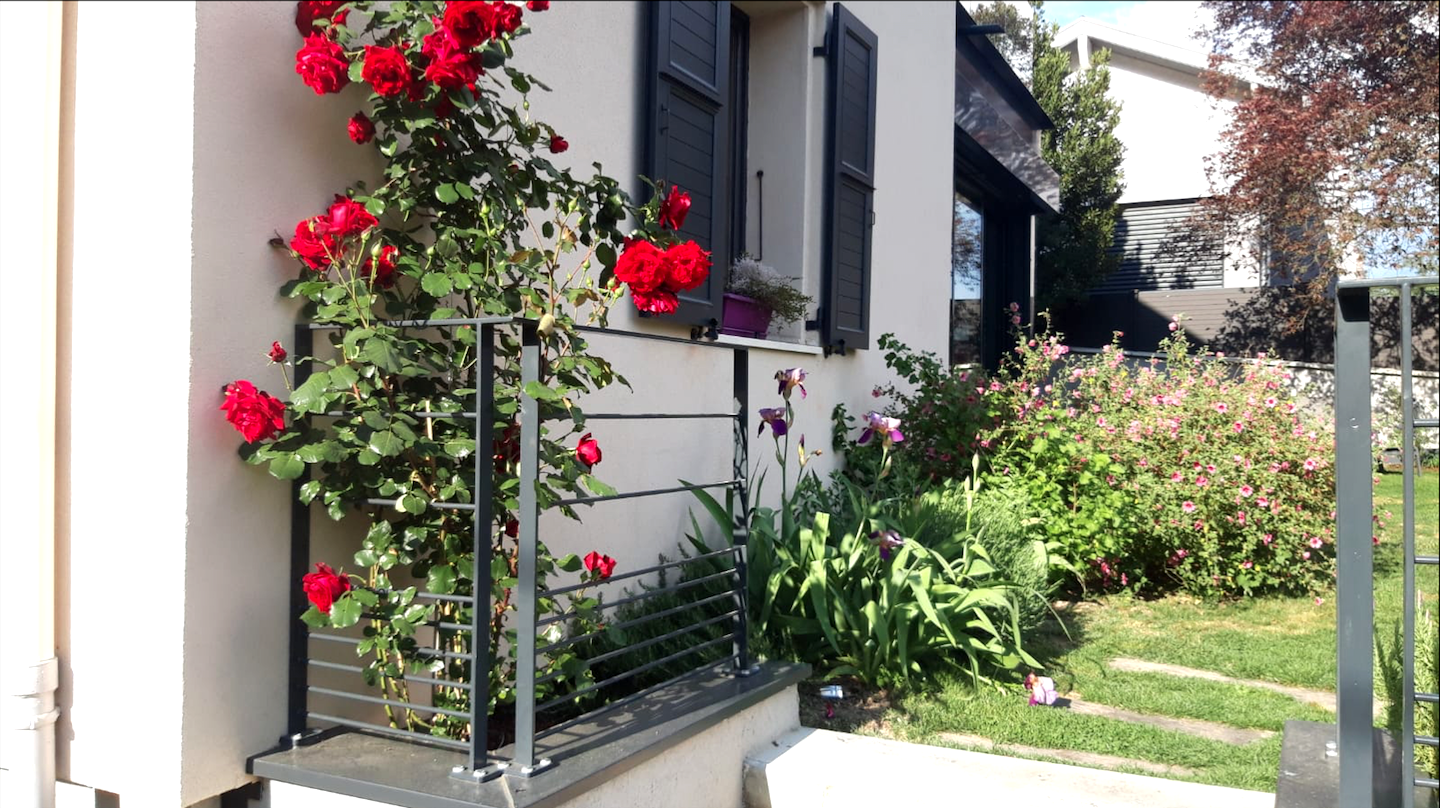 Jean-Alfredo.com - Jardin de particulier - 