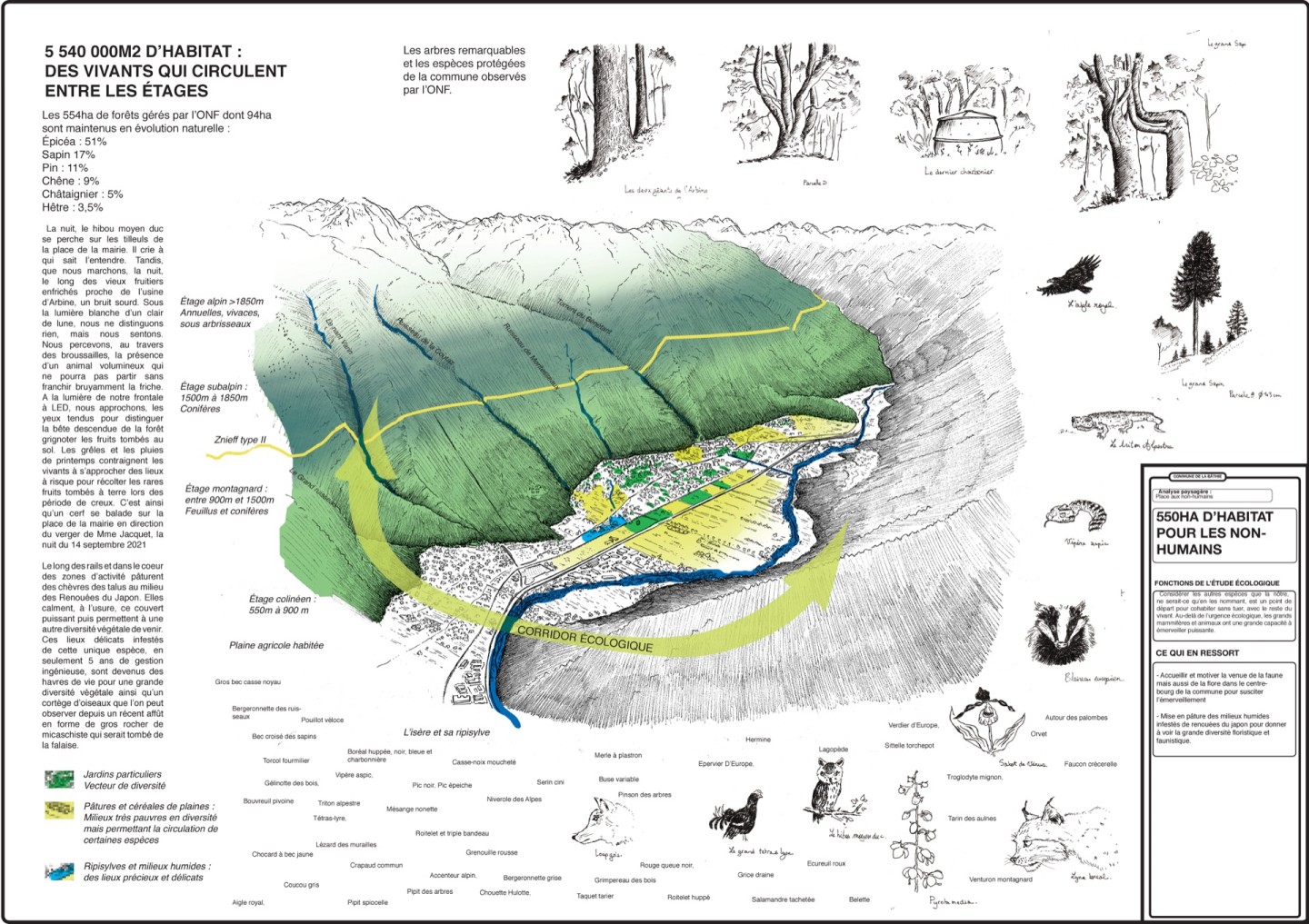 Jean-Alfredo.com - La Bathie 2040 - Mission d’analyse paysagère, de plan guide et de chantier participatif
