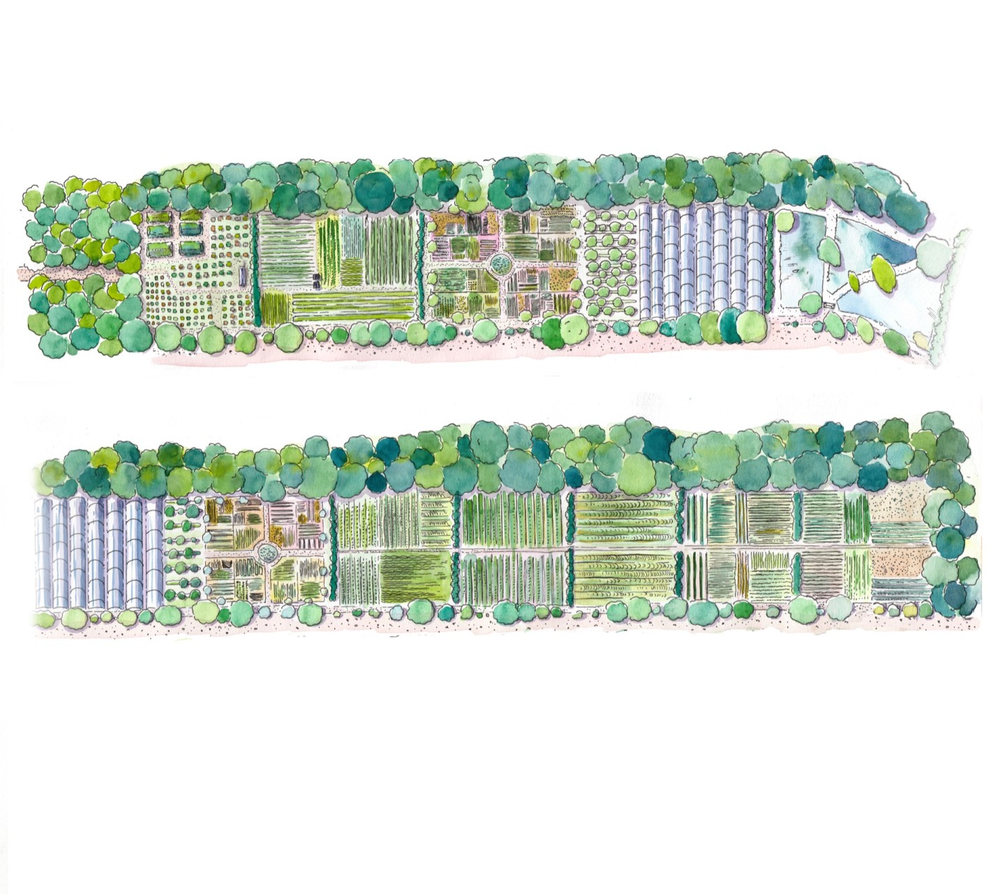 Jean-Alfredo.com - La ferme des carrés potagers - Commande d’illustration pour présenter le projet de ferme à Maison-Laffite(78)