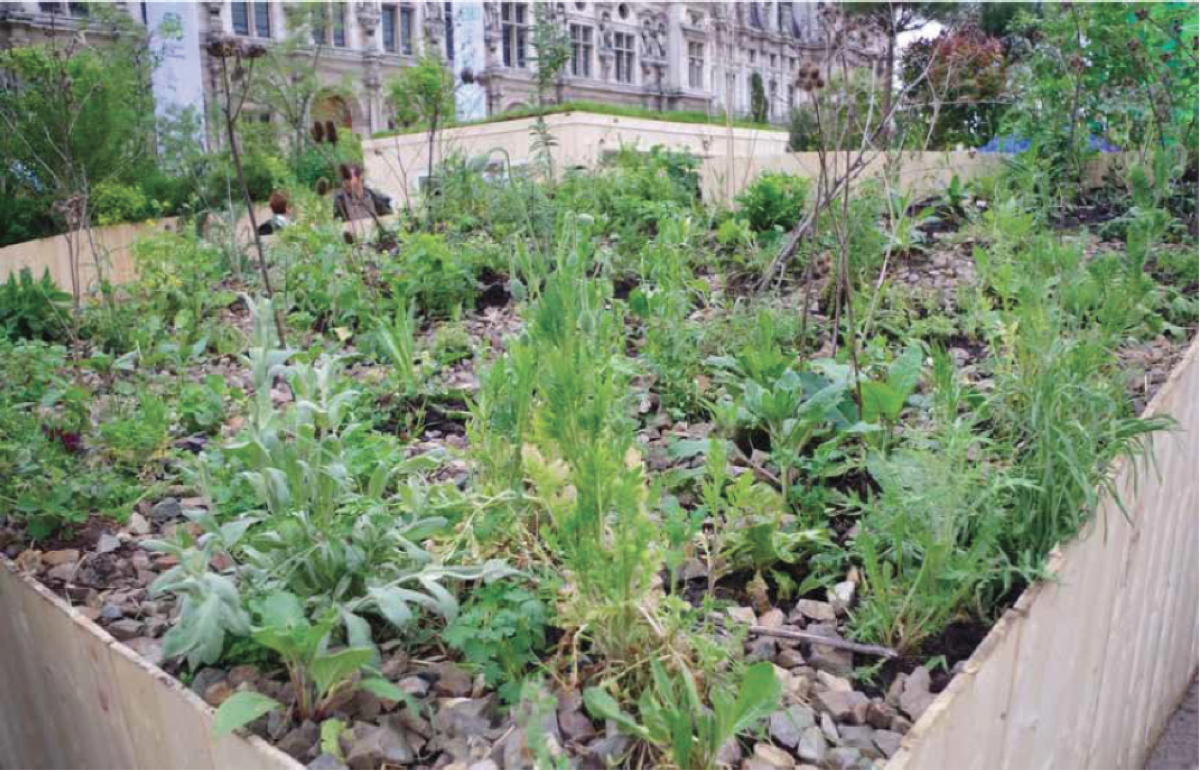 Jean-Alfredo.com - Le petit agent vert - 