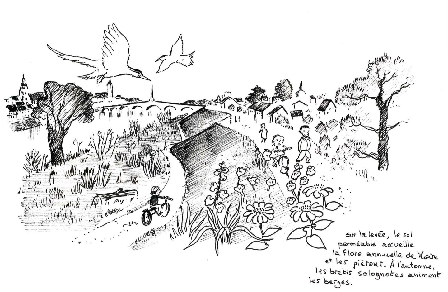 Jean-Alfredo.com - Regards sur le Val de Loire - Commande d’illustration de projet de paysage en bord de Loire