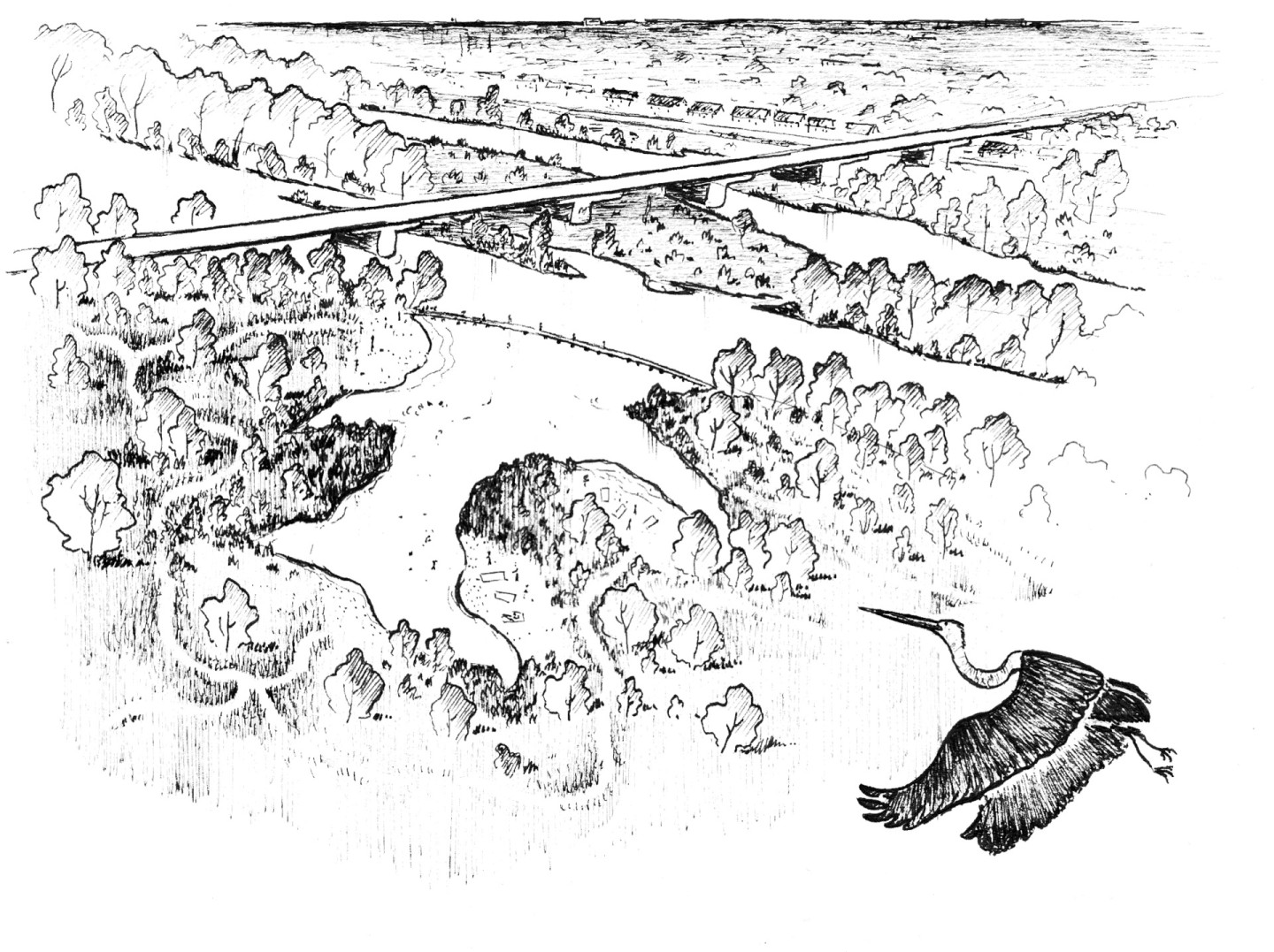 Jean-Alfredo.com - Regards sur le Val de Loire - Commande d’illustration de projet de paysage en bord de Loire