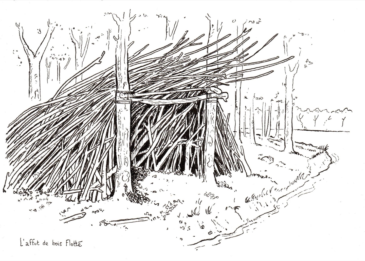 Jean-Alfredo.com - Regards sur le Val de Loire - Commande d’illustration de projet de paysage en bord de Loire